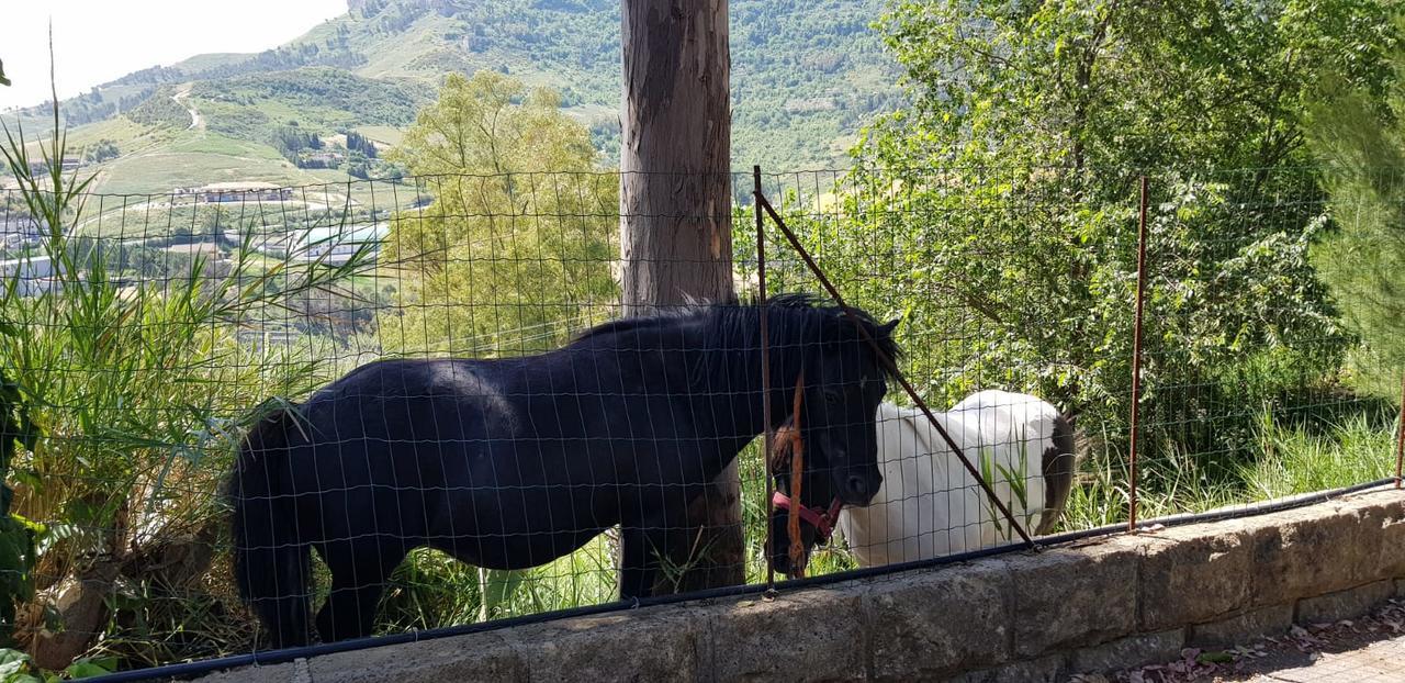 B&B Da Pietro Calascibetta Buitenkant foto